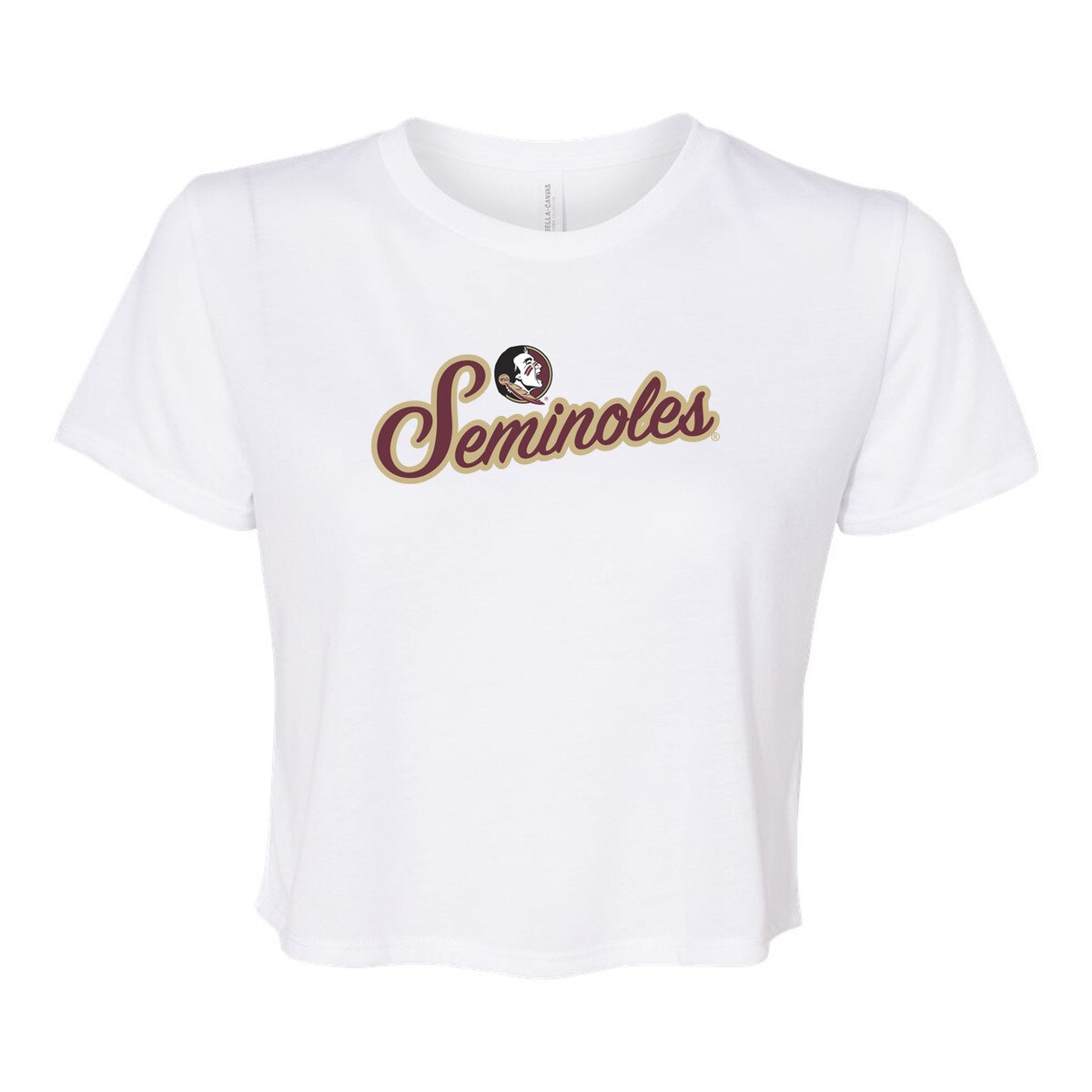 Capri Design Fsu Blitz Script Crop Short Sleeve T-shirt in Florida State University ...